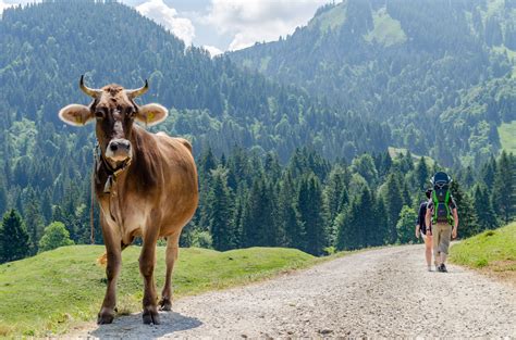 Explore Austrias Most Beautiful Places Kids Adventure And More