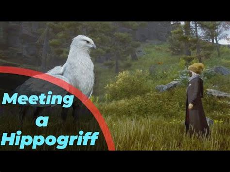 Meeting A Hippogriff Episode Hogwarts Legacy Youtube