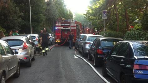 Bologna Incendio In Casa Muore Il Cagnolino Foto