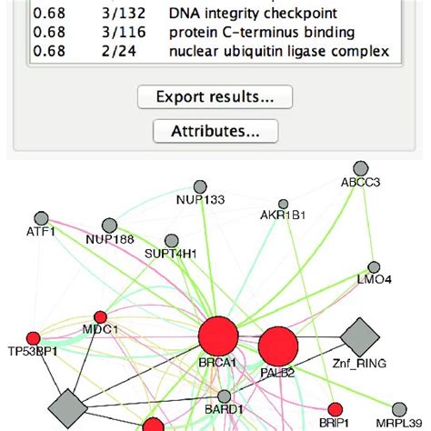 Architecture Diagram Of The Genemania App Illustrating The Inputs And