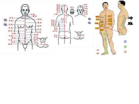 任脉 督脉 冲脉在人体的什么地方希望说的通俗点要不我看不懂的谢谢百度知道