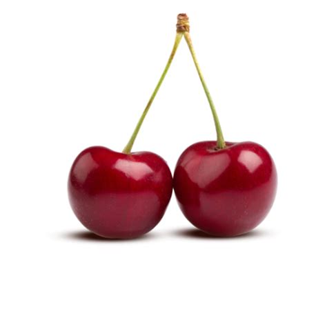 Cherries Png Image Purepng Free Transparent Cc0 Png Image Library