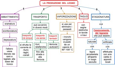 Legno Produzione Mappa Concettuale