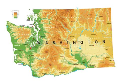 Mapa F Sico Del Estado De Washington Ilustraci N Del Vector