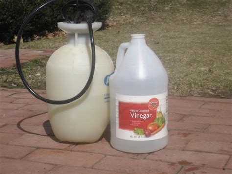 HOMESTEAD PREPPING SURVIVALING: VINEGAR = WEED KILLER