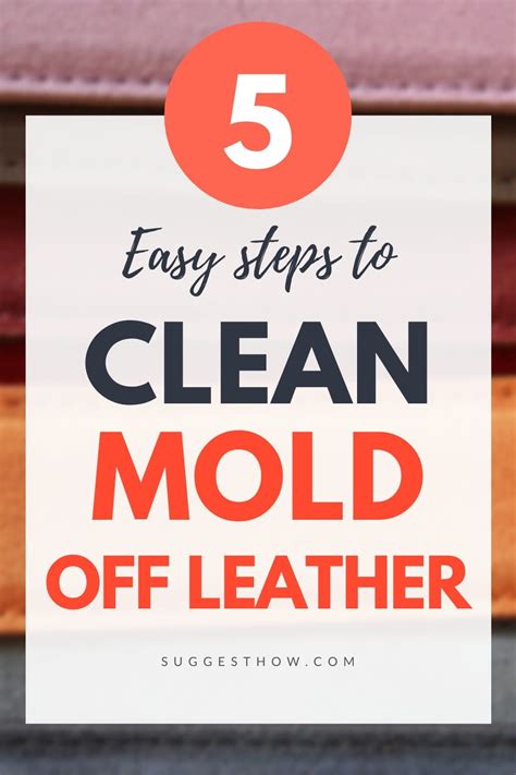 How To Clean Mold Off Leather 5 Steps To Follow In 2020 Easy