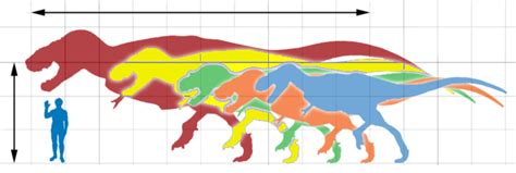 Tyrannosauridae Paleopedia Wiki Fandom Powered By Wikia