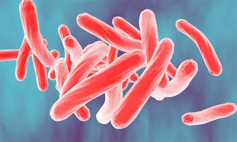 Tuberculosis: Researchers uncover how bacteria burst our cells