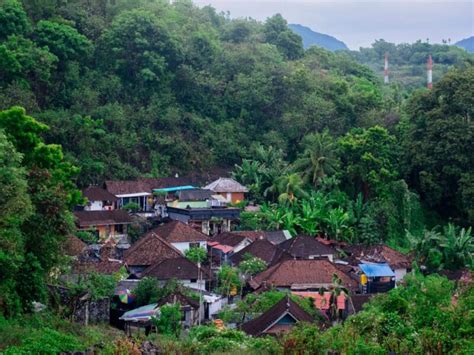 Desa Tangguh Karhutla Kantor Berita Sawit