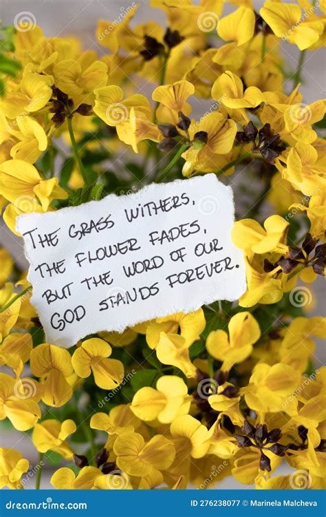 Grass Withers Flower Fades The Word Of God Stands Forever