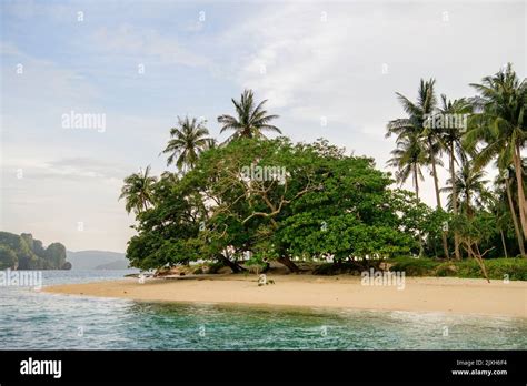 Philippines Scenic Palawan El Nido Island Hopping Tour View Of Karst