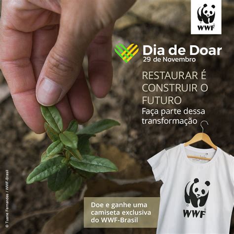 Wwf Brasil On Twitter No Dia 29 De Novembro Além Do Dia Nacional Da