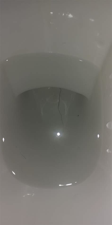 Crack In Toilet Bowl Questions And Detail In Comments R Plumbing