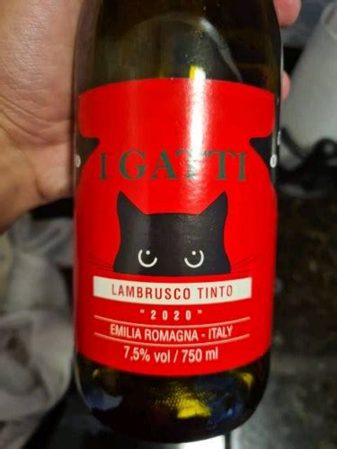 Gavioli Antica I Gatti Lambrusco Tinto Vivino Us