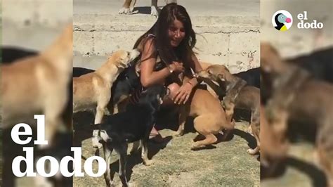 Mujer Deja Todo Para Salvar Perros Callejeros Youtube