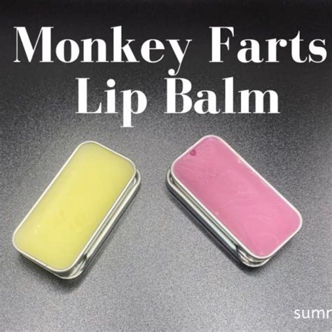 Monkey Farts Lip Balm - Summer Rain