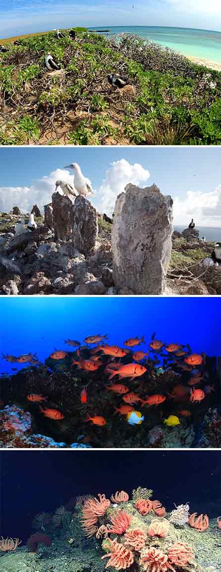 Papahānaumokuākea Marine National Monument