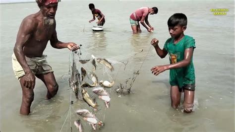 জোয়ারের নতুন পানিতে বিলে প্রচুর টেংরা মাছ উঠতে।। কারেন্ট জাল দিয়ে মাছ