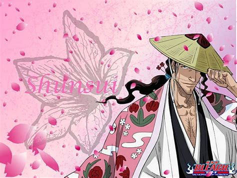 Hd Wallpaper Bleach Shunsui Kyōraku Wallpaper Flare