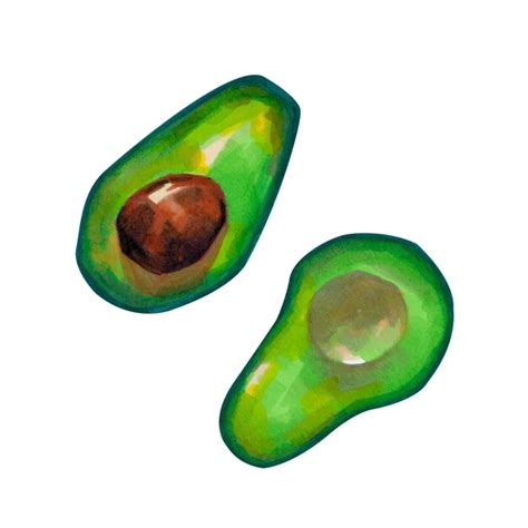 Premium Vector Avocado Set