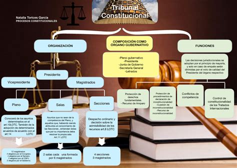 Esquema Procesos Constitucionales Natalia Torices García PROCESOS