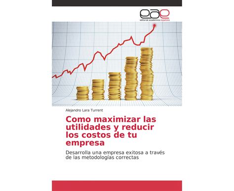 Como Maximizar Las Utilidades Y Reducir Los Costos De Tu Empresa