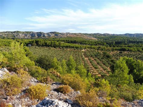 Randonnée à Mouriès 13 Les Alpilles VENTILER overblog