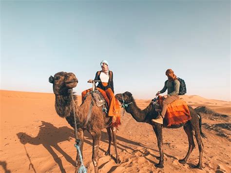 Desert Day Tours Fes 2019 All You Need To Know Before You Go With