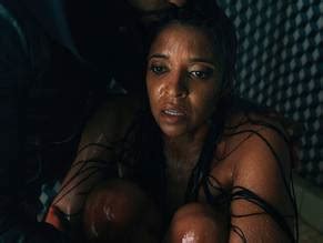 RENEE ELISE GOLDSBERRY Nude AZNude