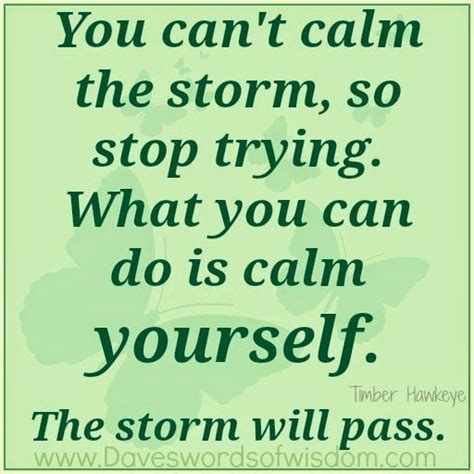 The Storm Will Pass Quotes Inspirational