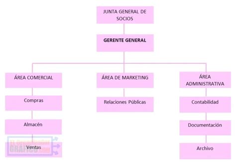 Organigrama De Una Empresa De Ropa