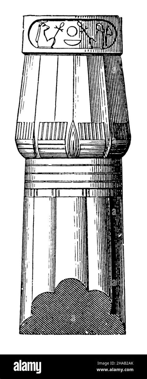 Papyrus Bundle Column With Bud Capital From Luxor Art History Book