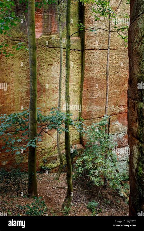 Harmer Hill Sandstone Quarry Shropshire The Quarry Used For Stone