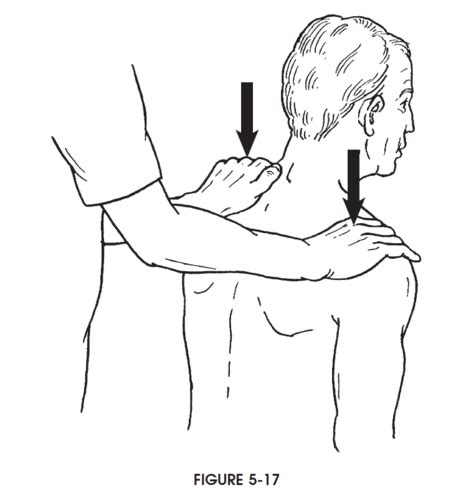 Shoulder MMT Flashcards Quizlet