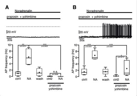 The Excitatory Noradrenergic Effect On Npy Agrp Neurons Is