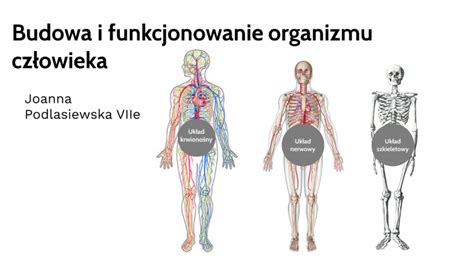 Budowa i funkcjonowanie organizmu człowieka by Asia Podlasiewska on Prezi