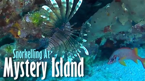 Snorkelling At Mystery Island Youtube