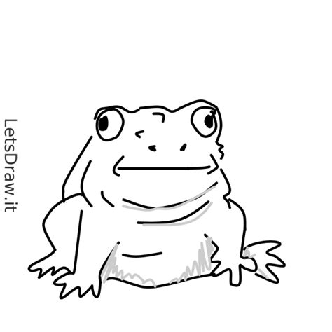 How To Draw Toad Letsdrawit