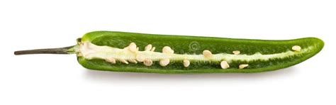 Green Chili Pepper Stock Image Image Of Ingredient 116715417