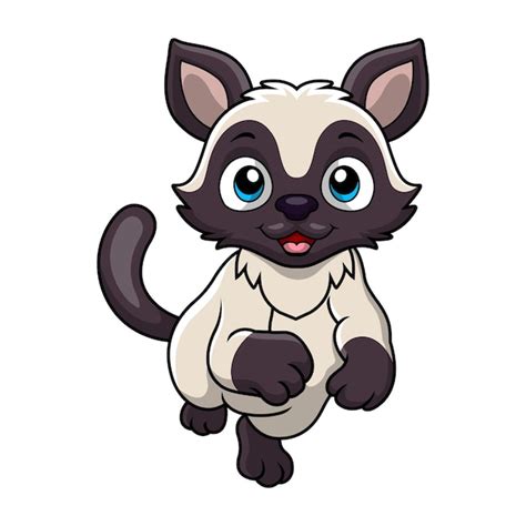 Premium Vector Cute Siamese Cat Cartoon On A White Background