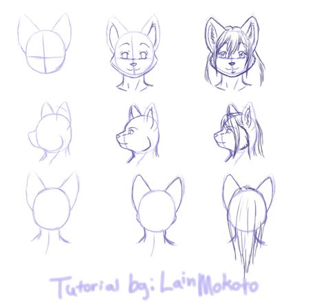 Tutorial Anthro Feline Heads By Lainmokoto On Deviantart