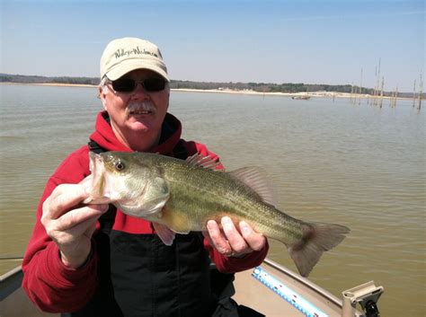 Sardis Lake Fishing | Walleye Wisdom