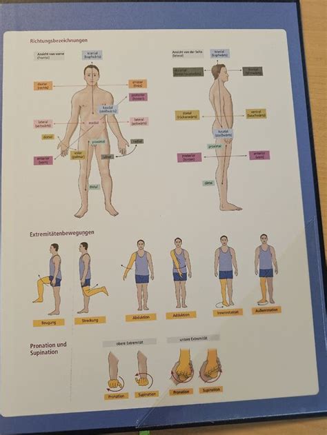 Biologie Anatomie Physiologie Nicole Menche Kaufen Auf Ricardo