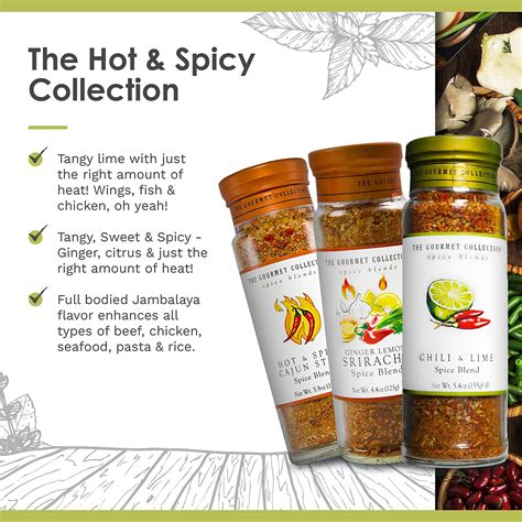 Buy The Gourmet Collection Spices Seasoning Blends Hot Spicy