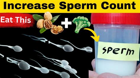 Boost Sperm And Fertility Naturally 10 Superfoods And Solutions For