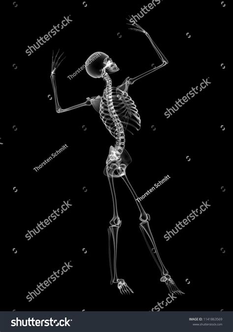 X Ray Human Body 3d Render Stock Illustration 1141863569 Shutterstock