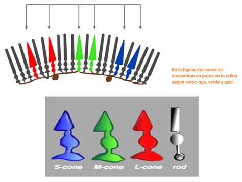 Teg Taller De Expresi N Grafica