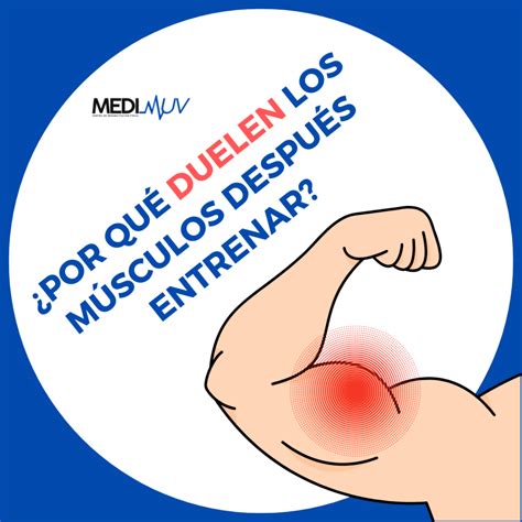 porque me duelen los músculos después de entrenar medimuv