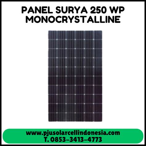 PANEL SURYA 250WP MONOCRYSTALLINE DISTRIBUTOR