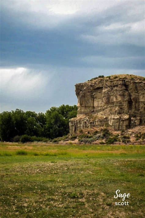 Fun Things To Do In Billings Montana